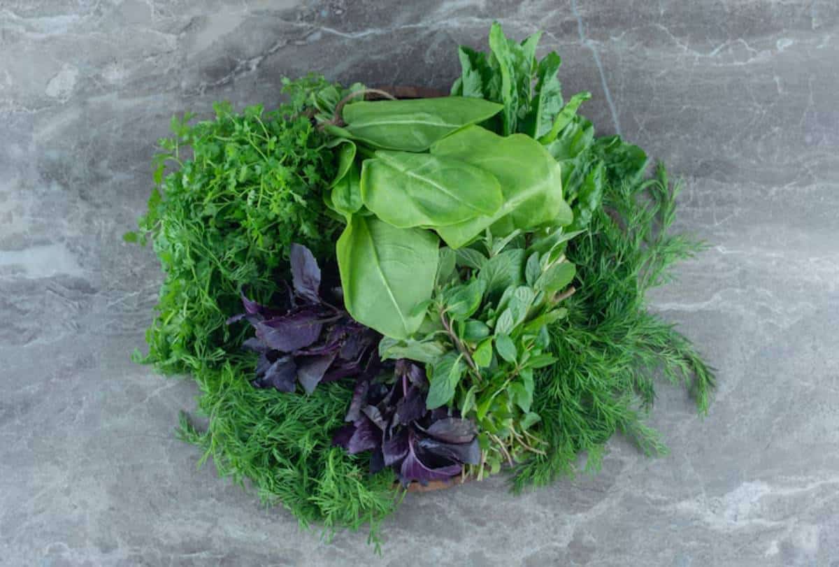 A vibrant assortment of fresh herbs, including cilantro, spinach, mint, and dill, arranged in a circular pattern on a gray surface.